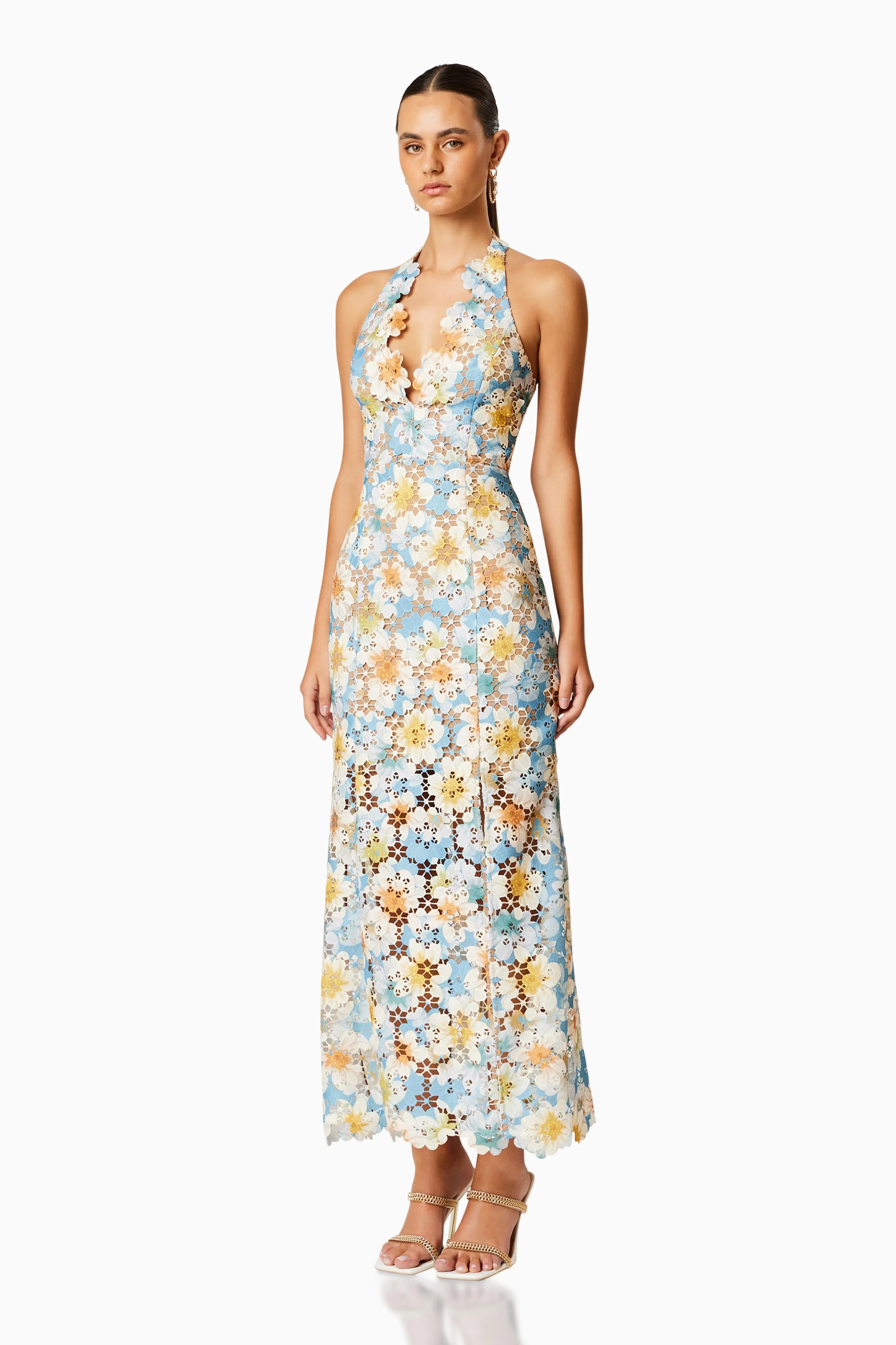 Elliatt Nesting Floral Lace Maxi Dress - Multi