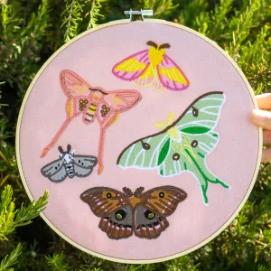 Pastel Moths Wall Hanging!